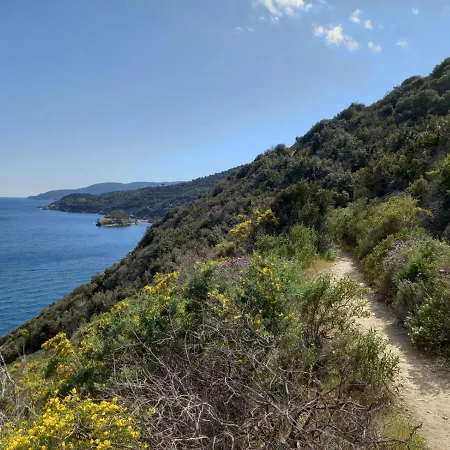 וילה Villa Appiani In Elba Island With Private Pool *